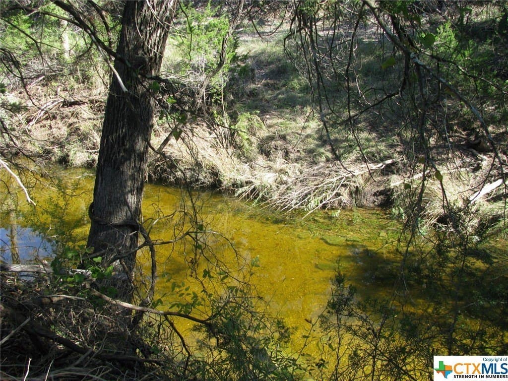 10.18 acres in Coryell County - photo 3