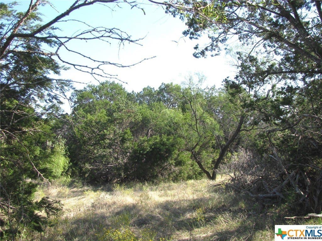 10.18 acres in Coryell County - photo 37