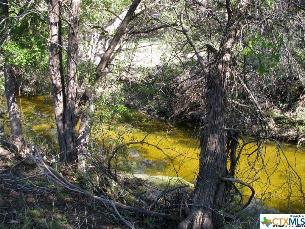10.18 acres in Coryell County - photo 9