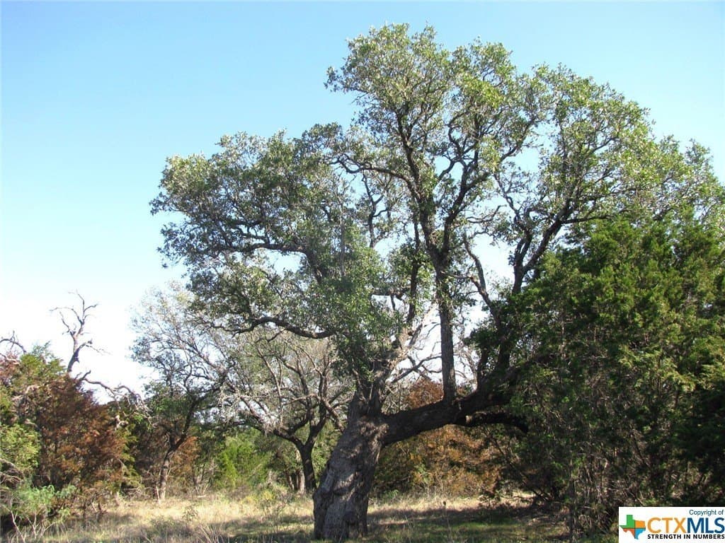 10.18 acres in Coryell County - photo 4