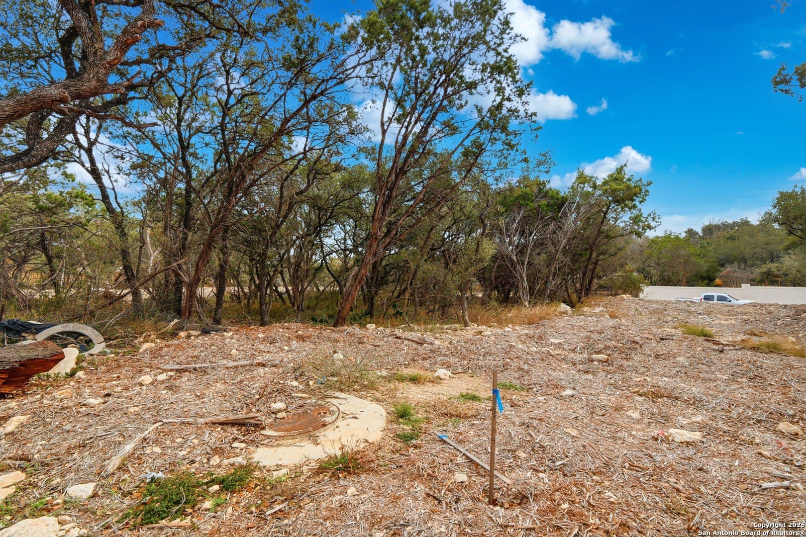 0.31 acres in Bexar County - photo 5