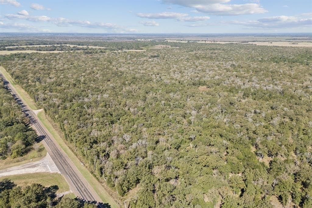 20 acres in Anderson County - photo 6