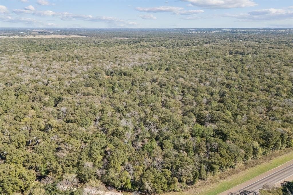 20 acres in Anderson County - photo 7