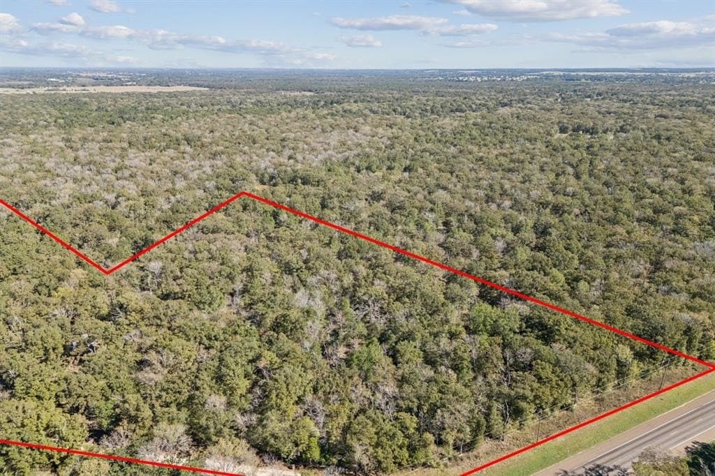20 acres in Anderson County - photo 5