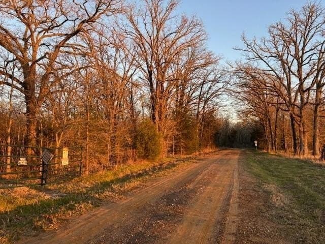 20 acres in Anderson County - photo 8