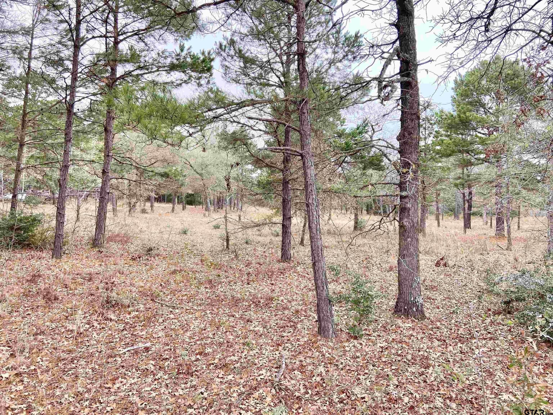 8.67 acres in Henderson County - photo 5