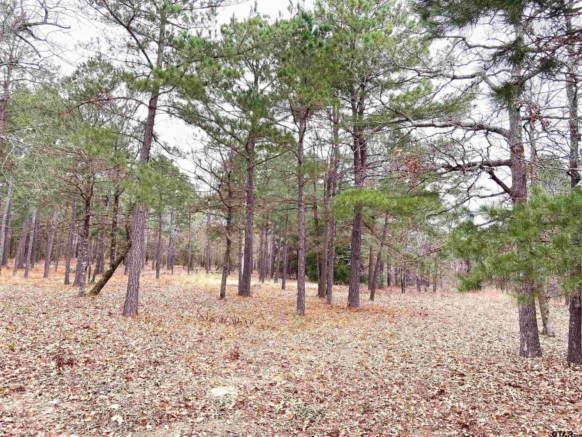 8.67 acres in Henderson County - photo 12