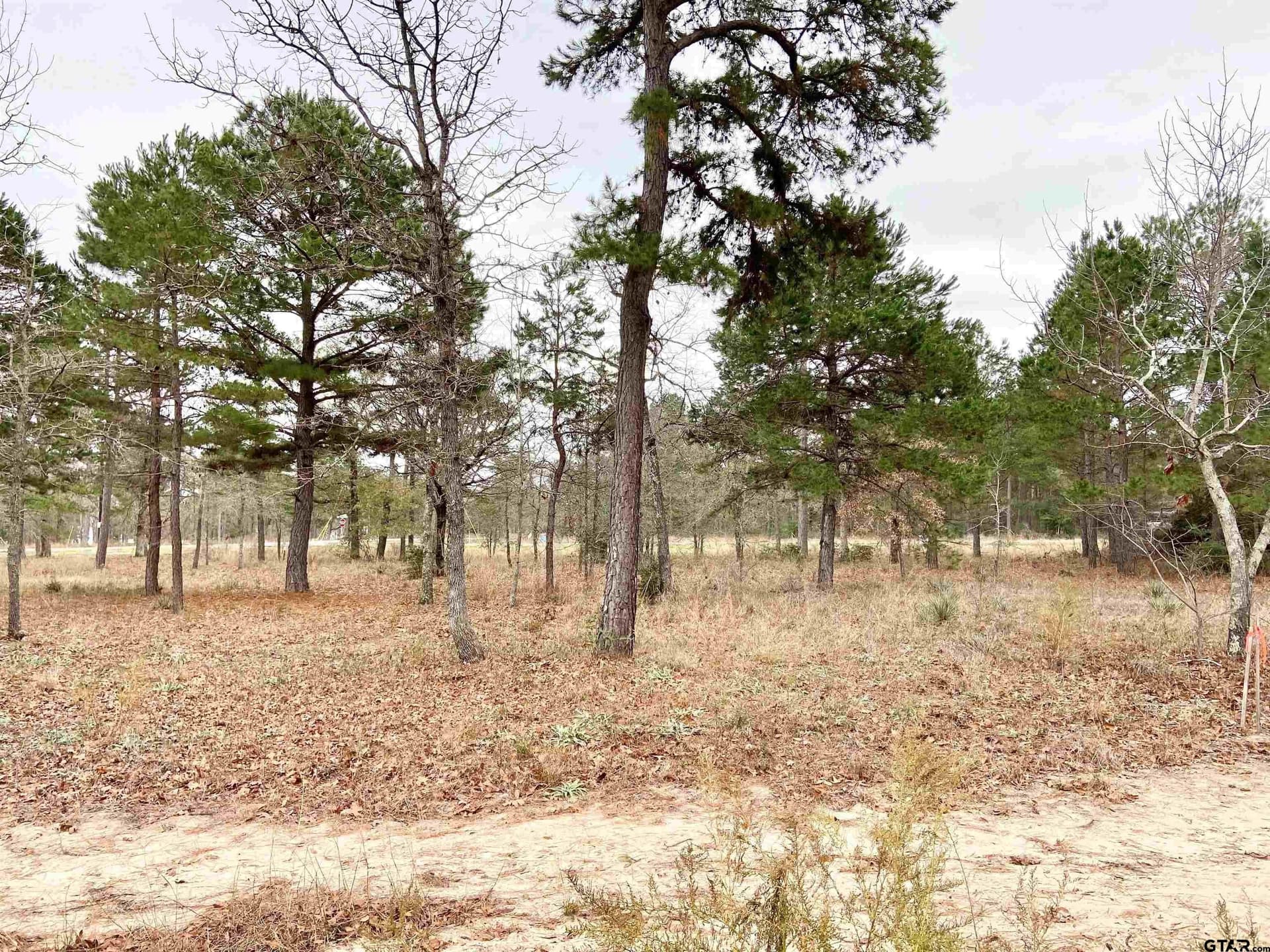 8.67 acres in Henderson County - photo 11
