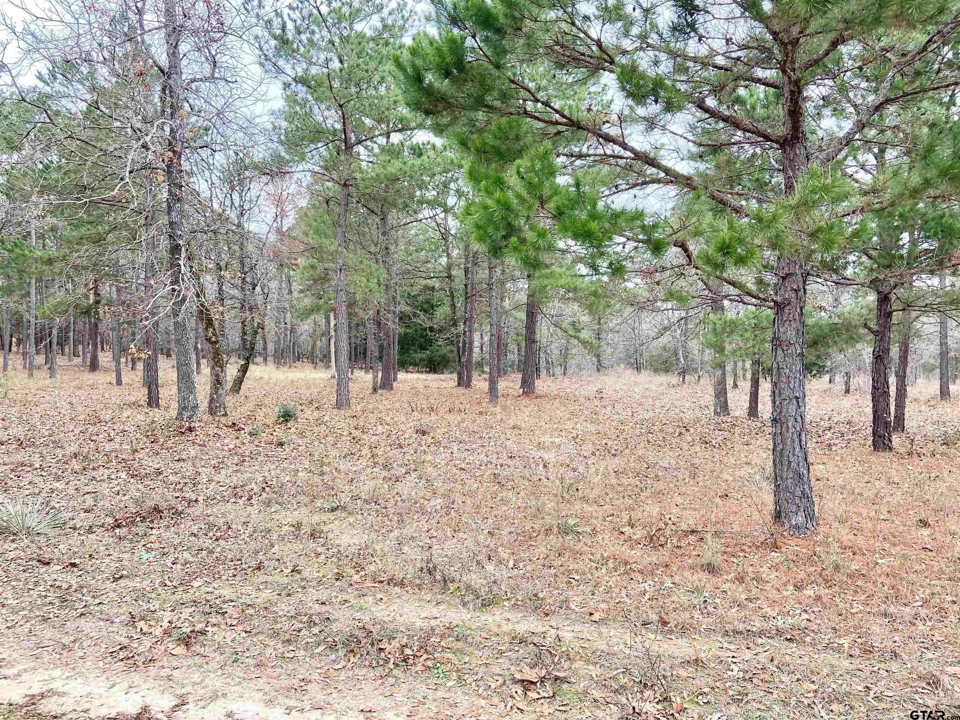 8.67 acres in Henderson County - photo 10