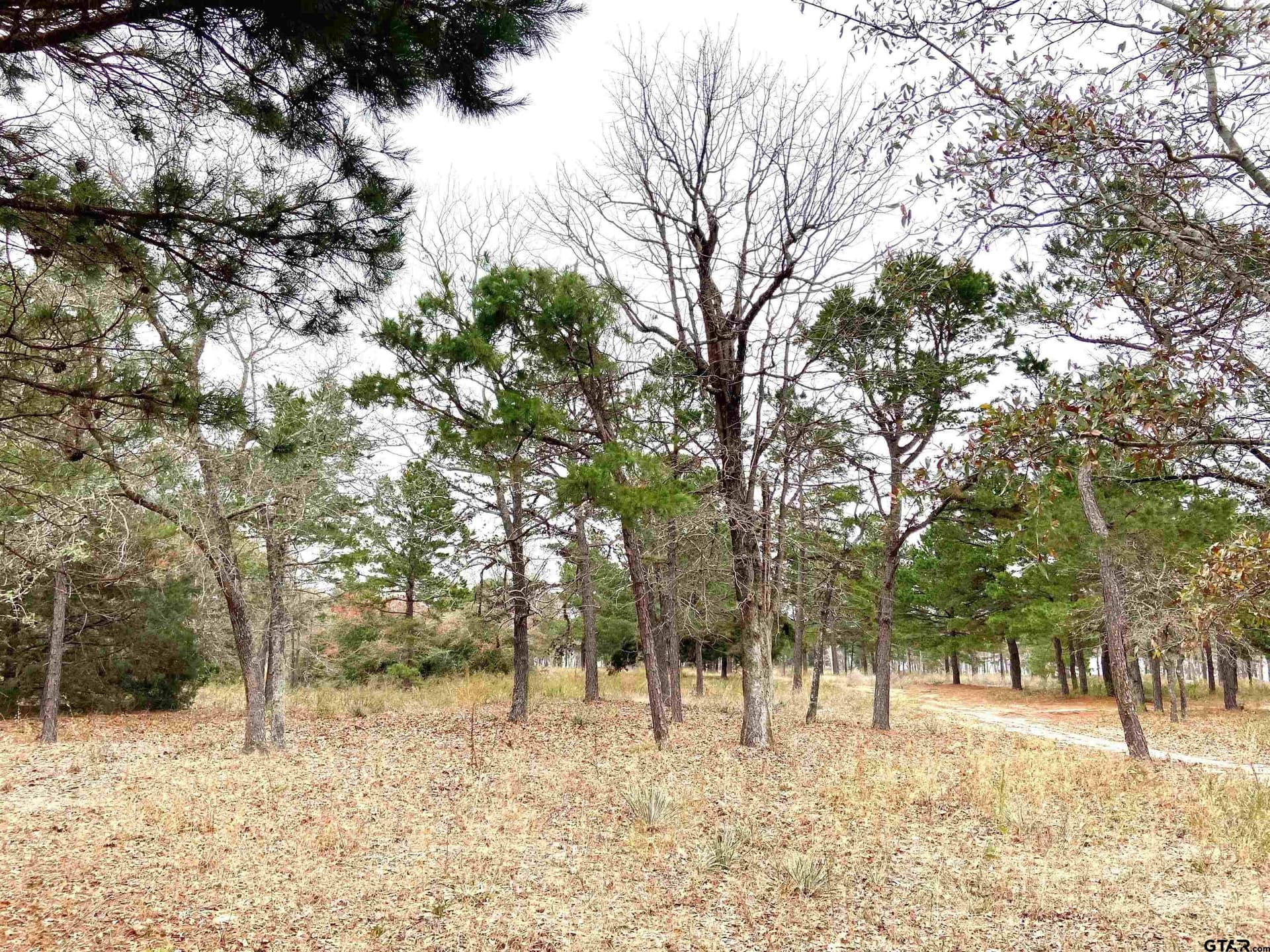 8.67 acres in Henderson County - photo 13
