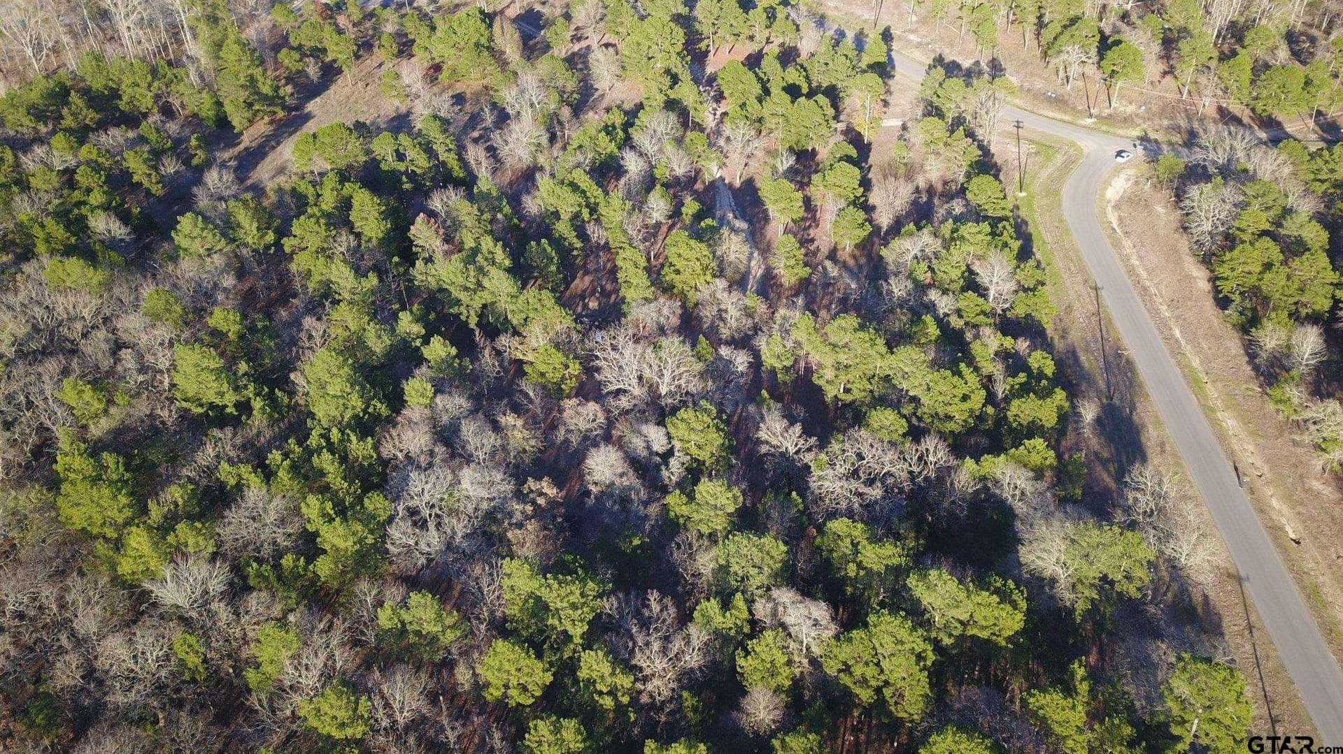 8.67 acres in Henderson County - photo 17