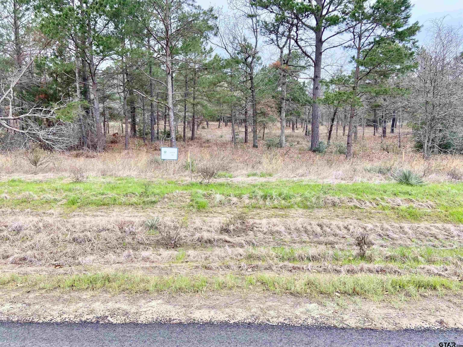 8.67 acres in Henderson County - photo 15