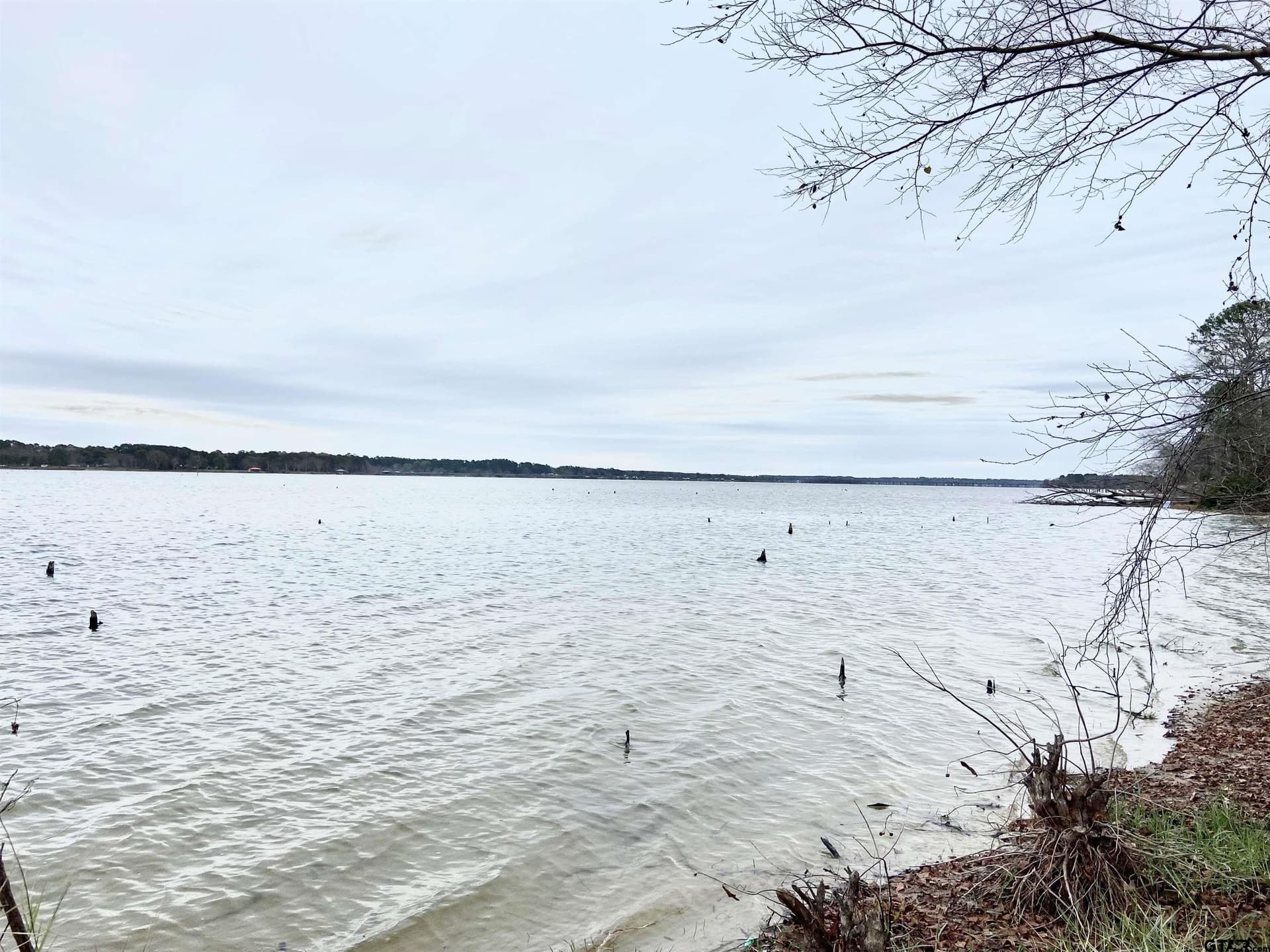 8.67 acres in Henderson County - photo 4