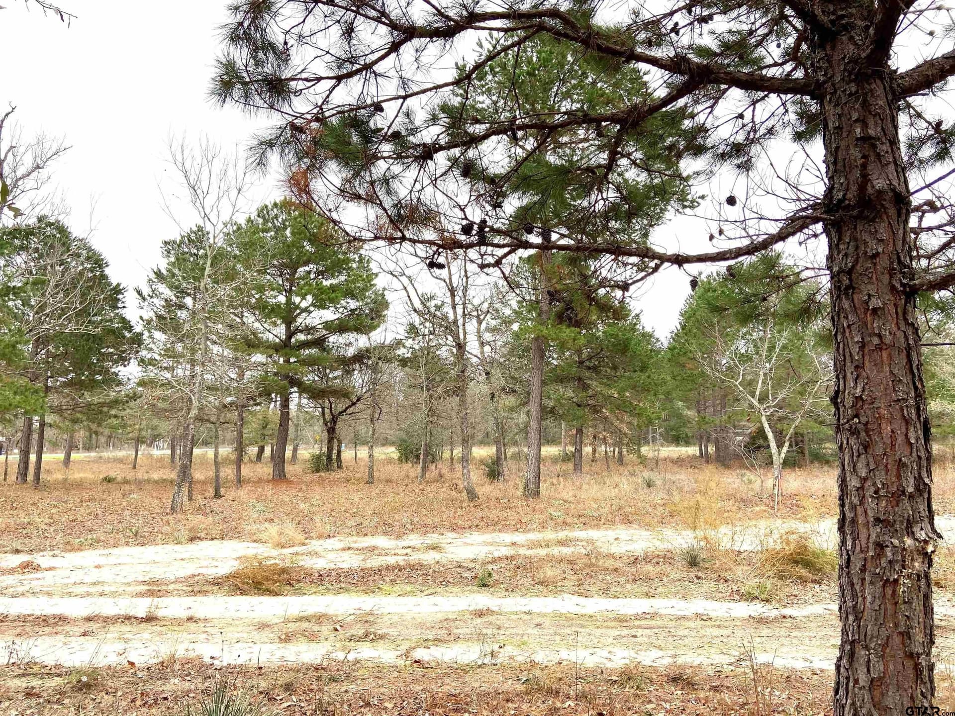 8.67 acres in Henderson County - photo 14
