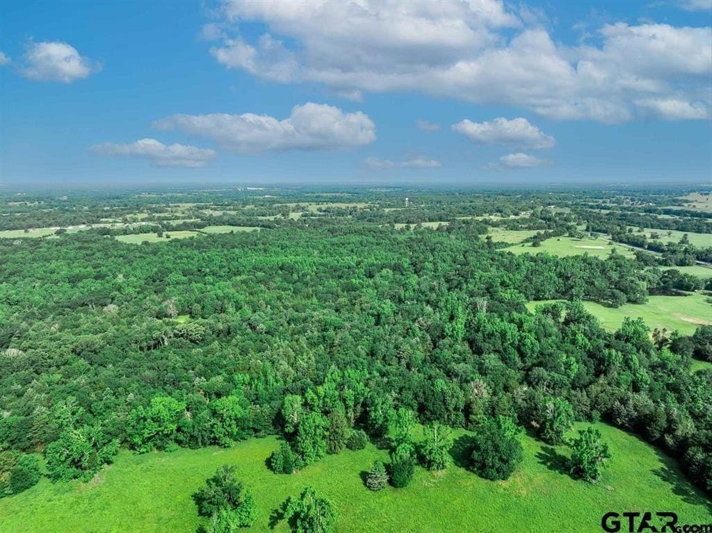 49.25 acres in Hopkins County - photo 31
