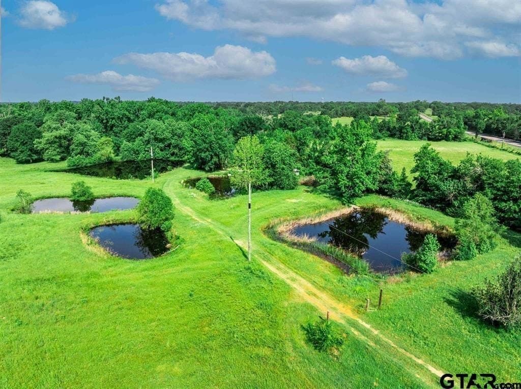 49.25 acres in Hopkins County - photo 21