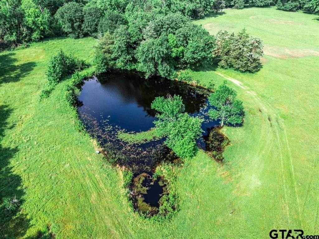 49.25 acres in Hopkins County - photo 29