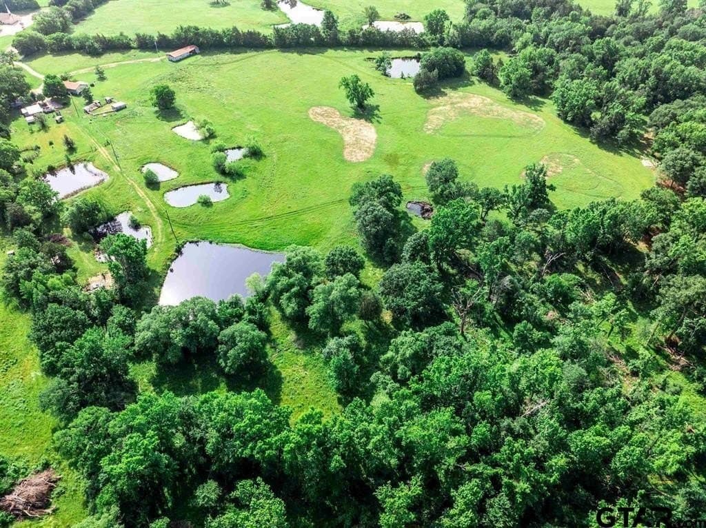 49.25 acres in Hopkins County - photo 36