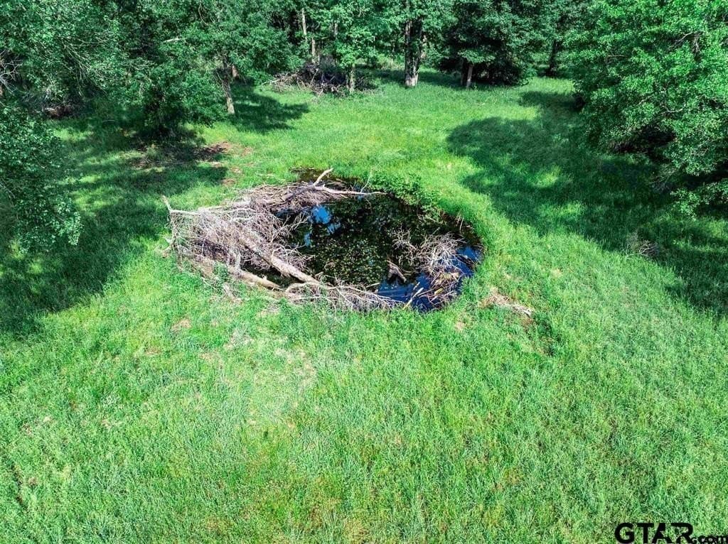 49.25 acres in Hopkins County - photo 17