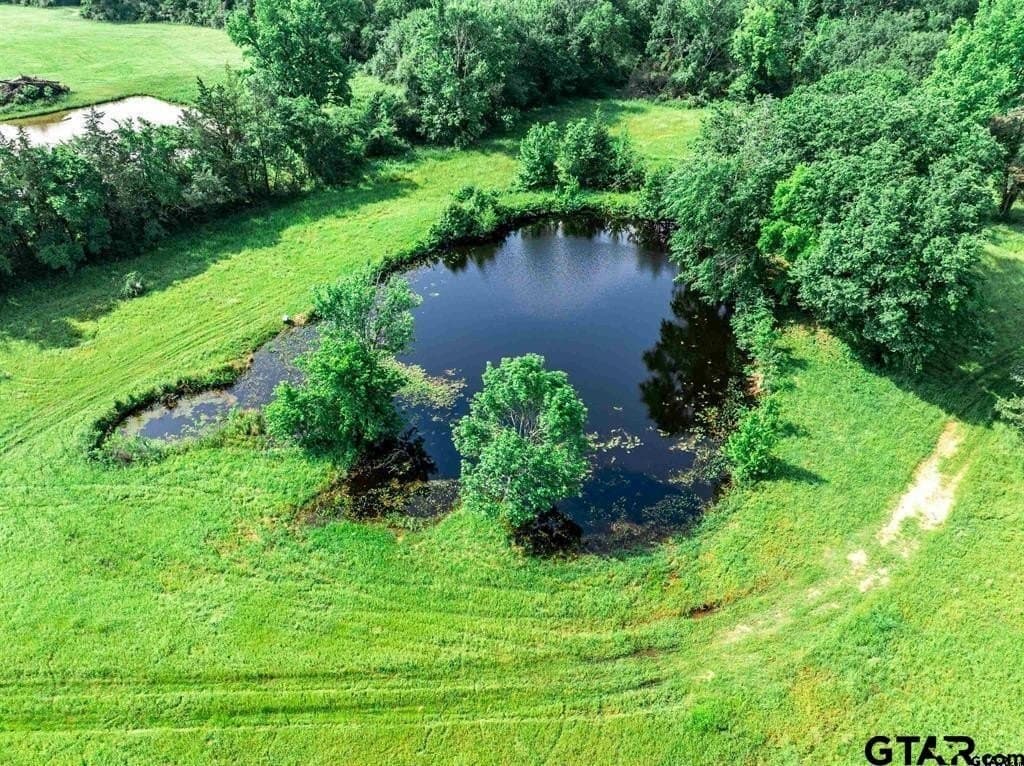 49.25 acres in Hopkins County - photo 22