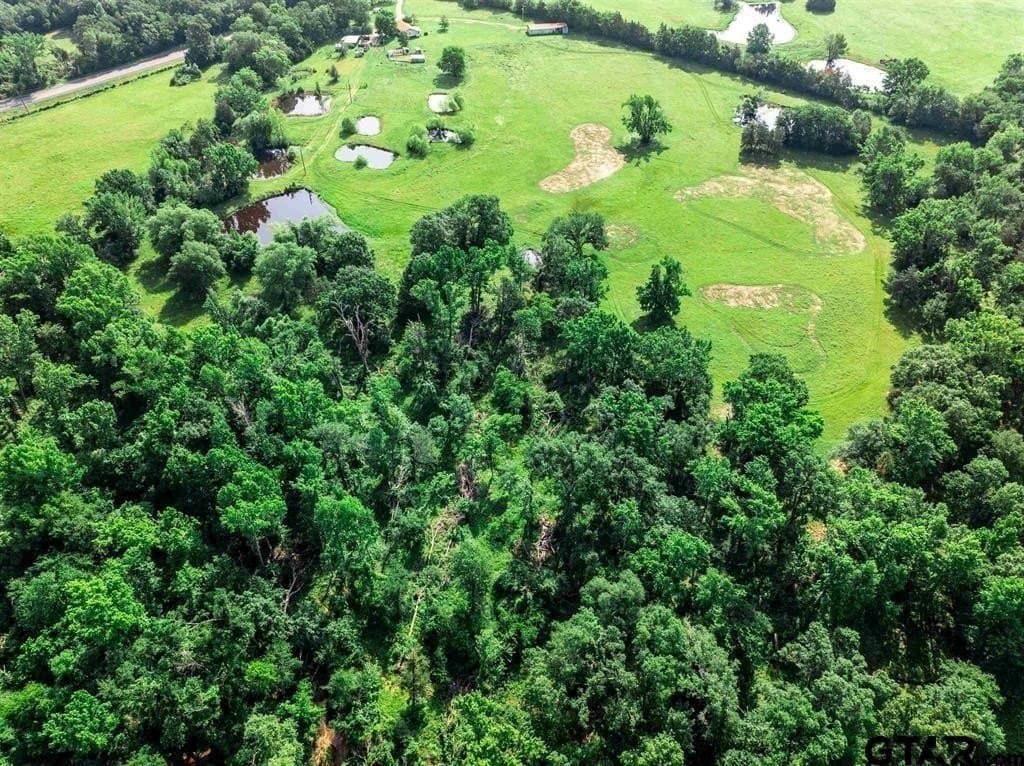 49.25 acres in Hopkins County - photo 3