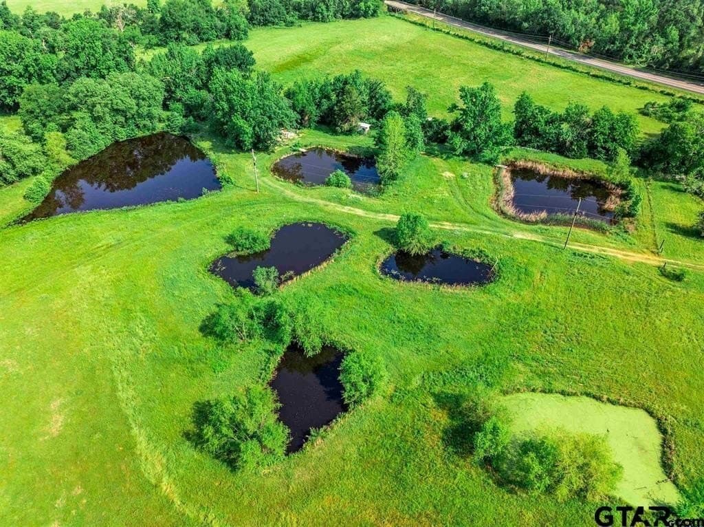 49.25 acres in Hopkins County - photo 20