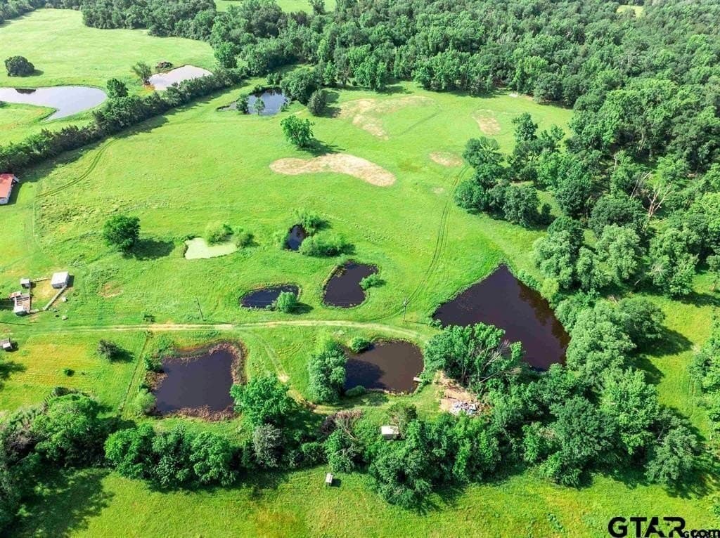49.25 acres in Hopkins County - photo 40