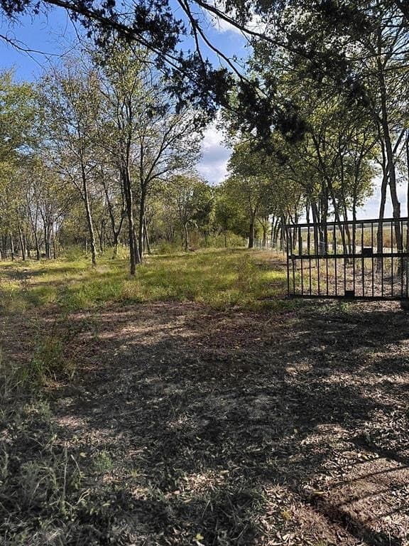 5.02 acres in Navarro County - photo 3