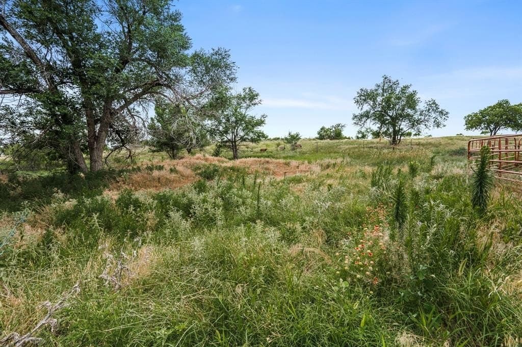 41 acres in Hemphill County - photo 14