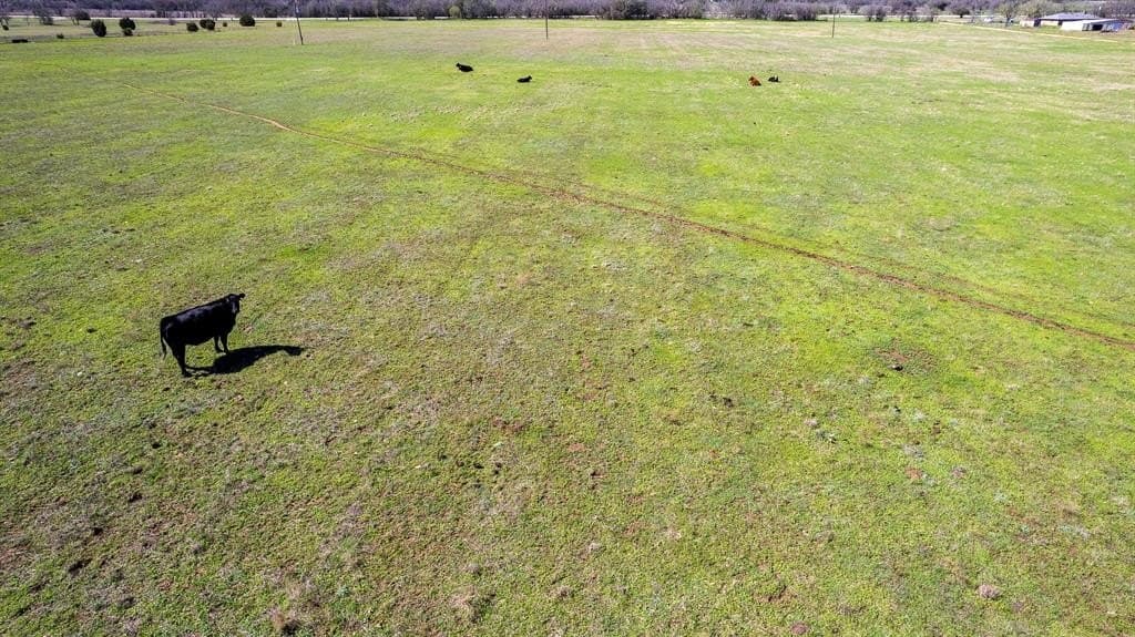 47.42 acres in Erath County - photo 7