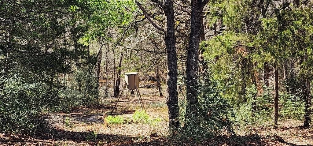 10 acres in Henderson County - photo 2