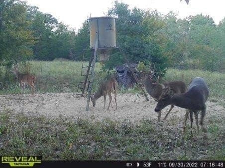 10 acres in Henderson County - photo 35
