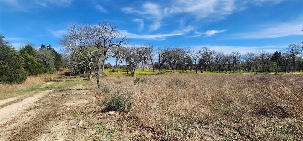 10 acres in Henderson County - photo 25