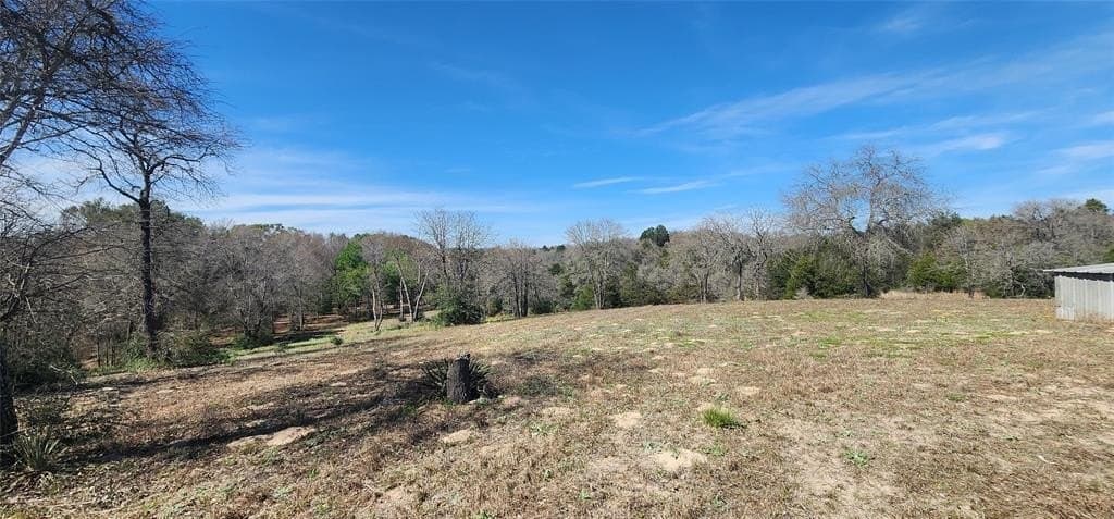 10 acres in Henderson County - photo 14