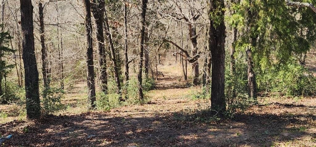 10 acres in Henderson County - photo 4