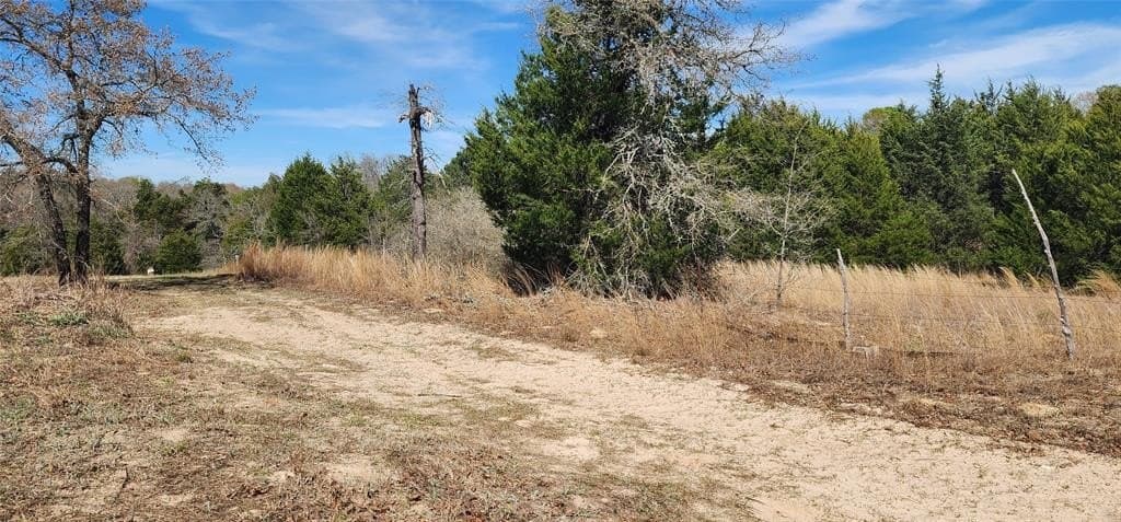 10 acres in Henderson County - photo 10