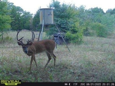 10 acres in Henderson County - photo 33