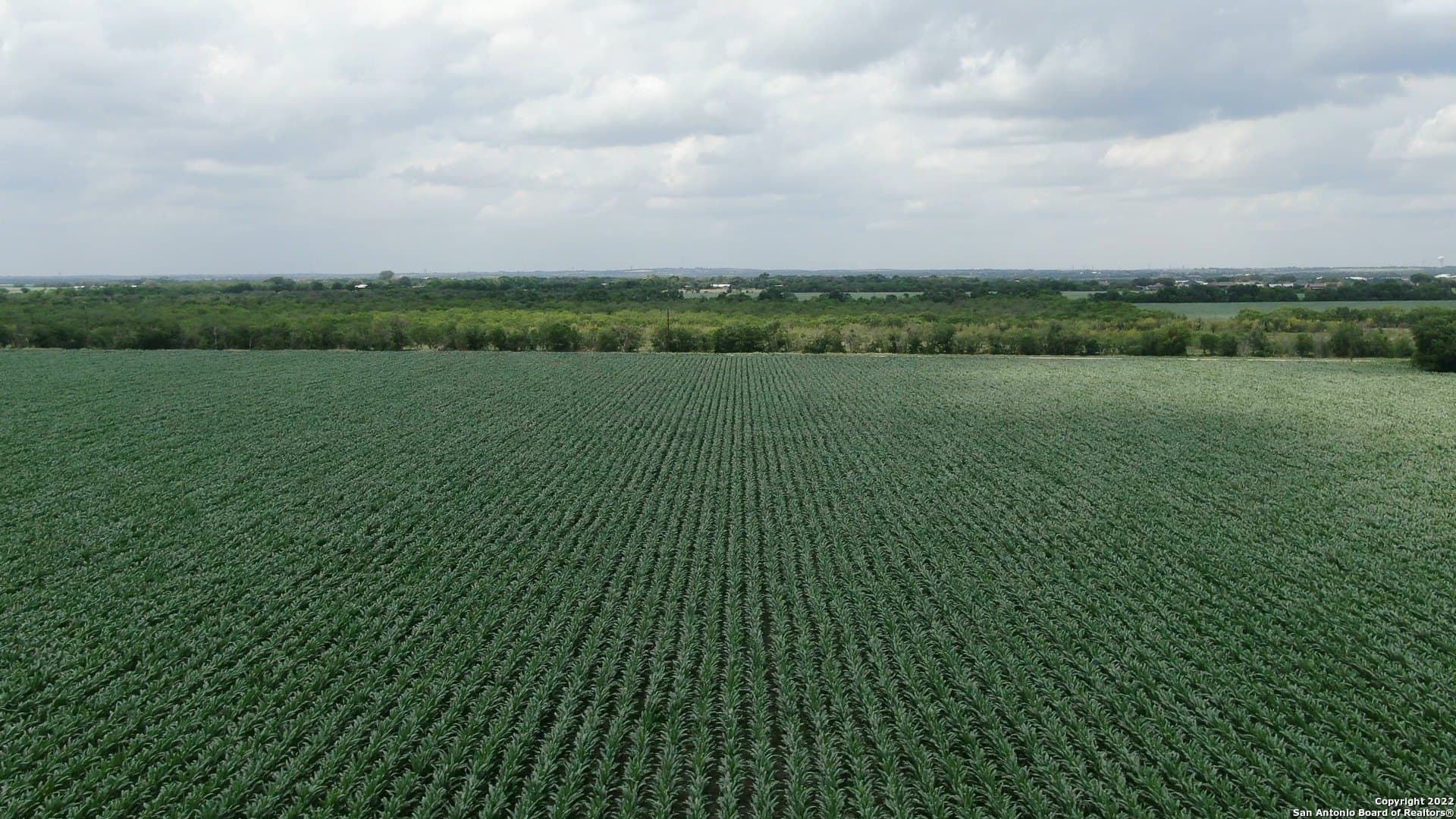 0 acres in Guadalupe County - photo 5