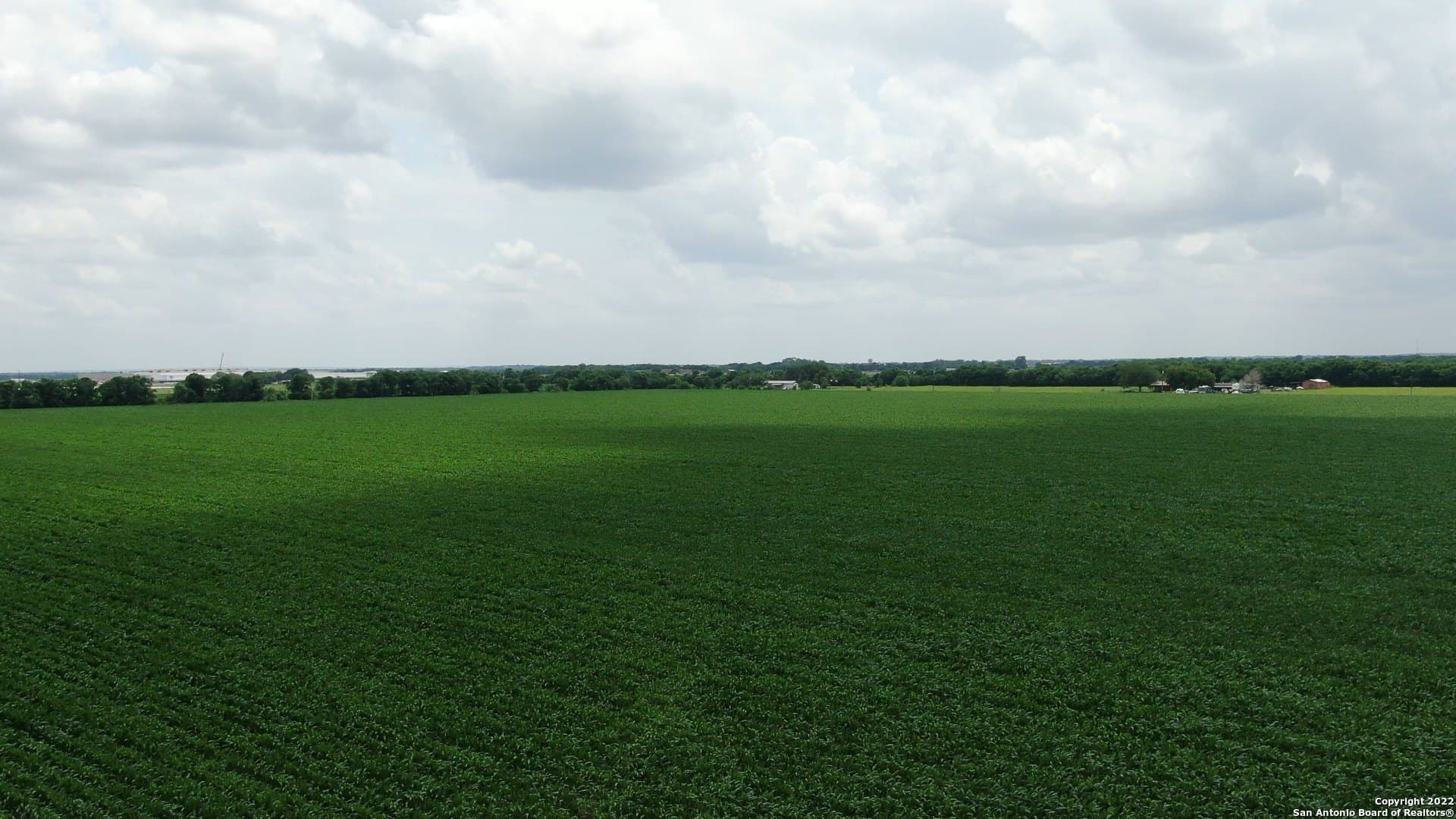 0 acres in Guadalupe County - photo 6