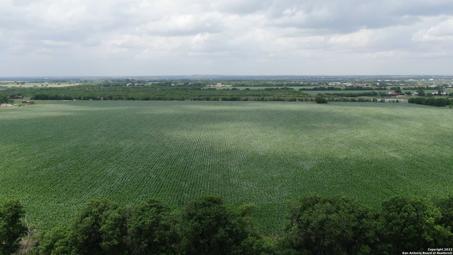 0 acres in Guadalupe County - photo 3