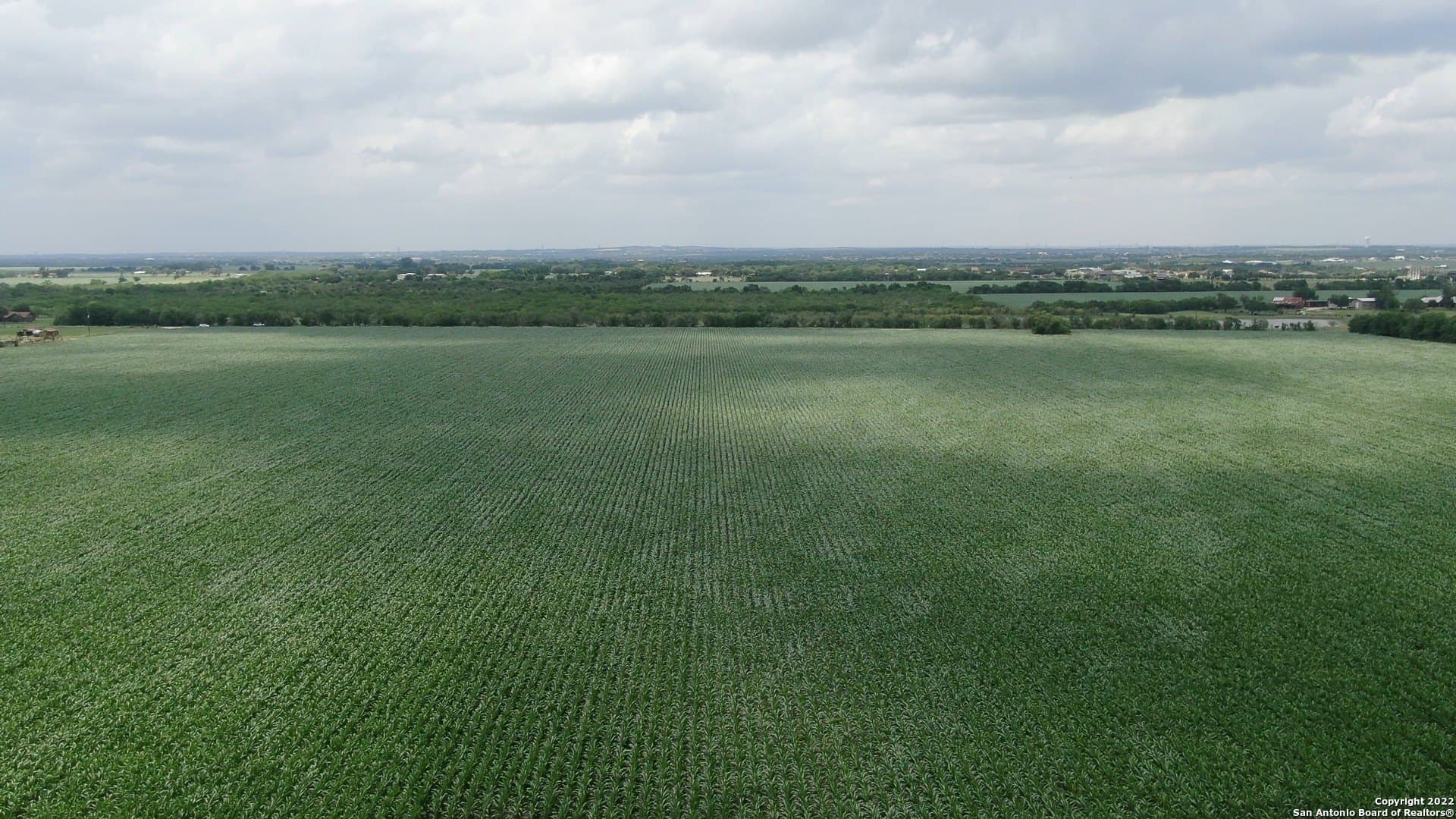 0 acres in Guadalupe County - photo 4