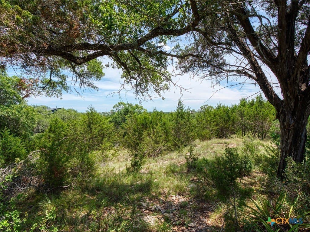 1.02 acres in Comal County - photo 2