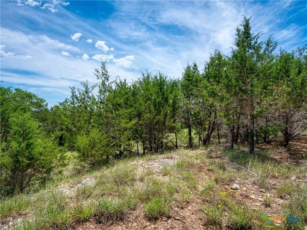 1.02 acres in Comal County - photo 3