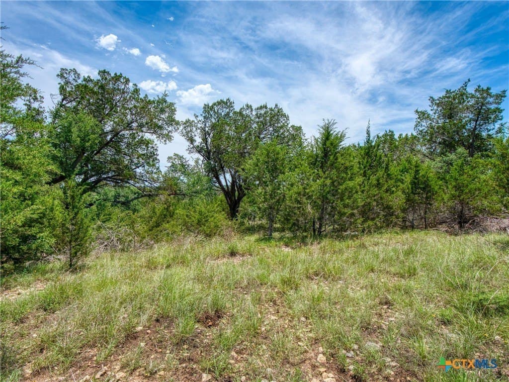 114 Oyster Springs lot: 41