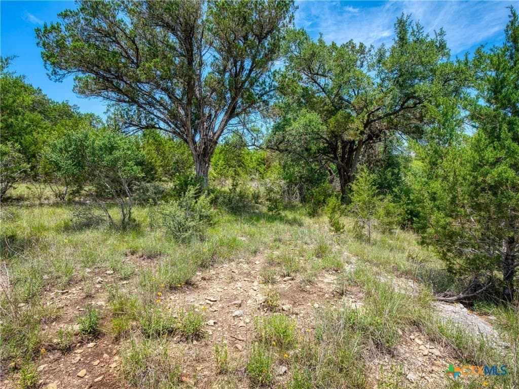 1.02 acres in Comal County - photo 4