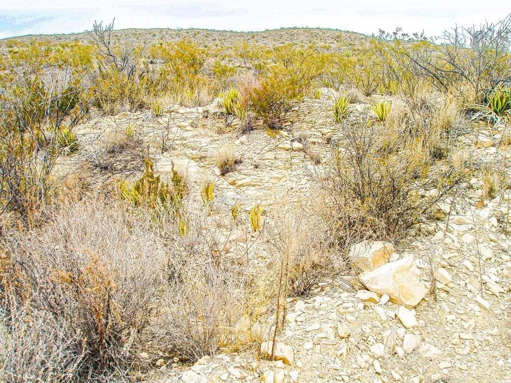 21 acres in Brewster County - photo 2