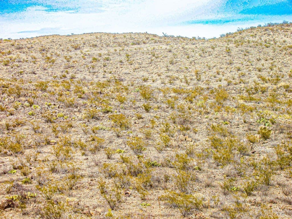 21 acres in Brewster County - photo 3