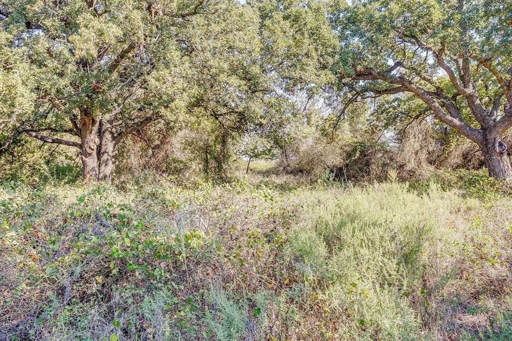 13.85 acres in Parker County - photo 38