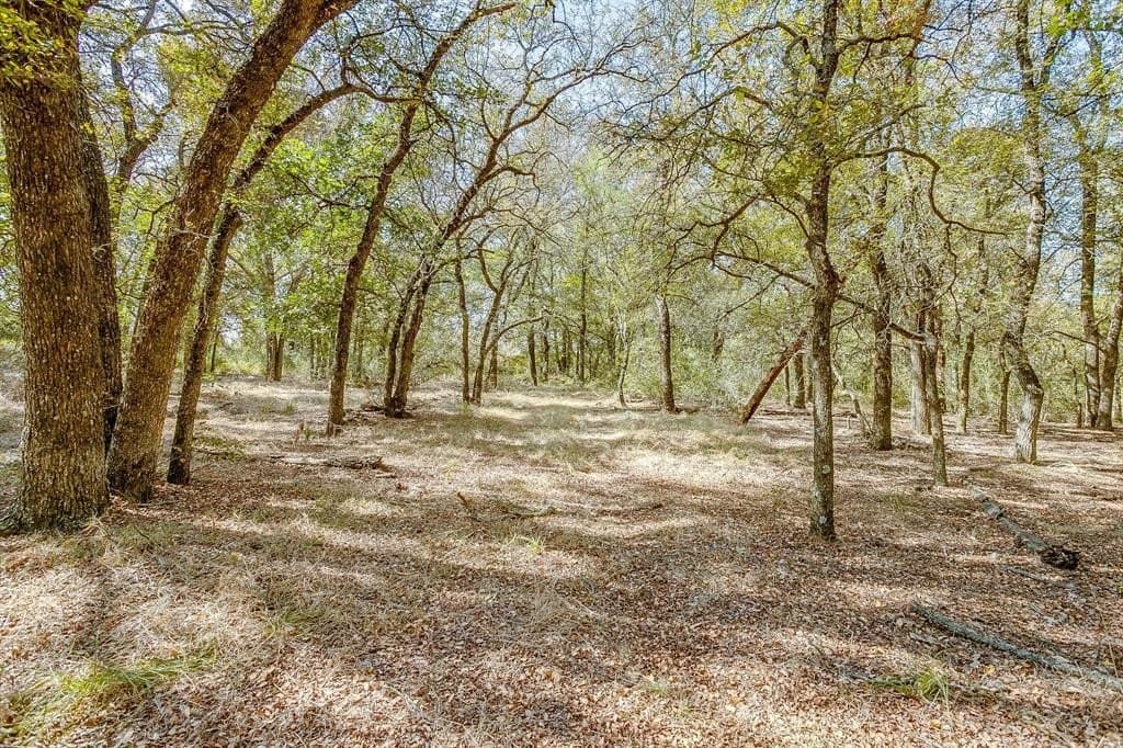 13.85 acres in Parker County - photo 40