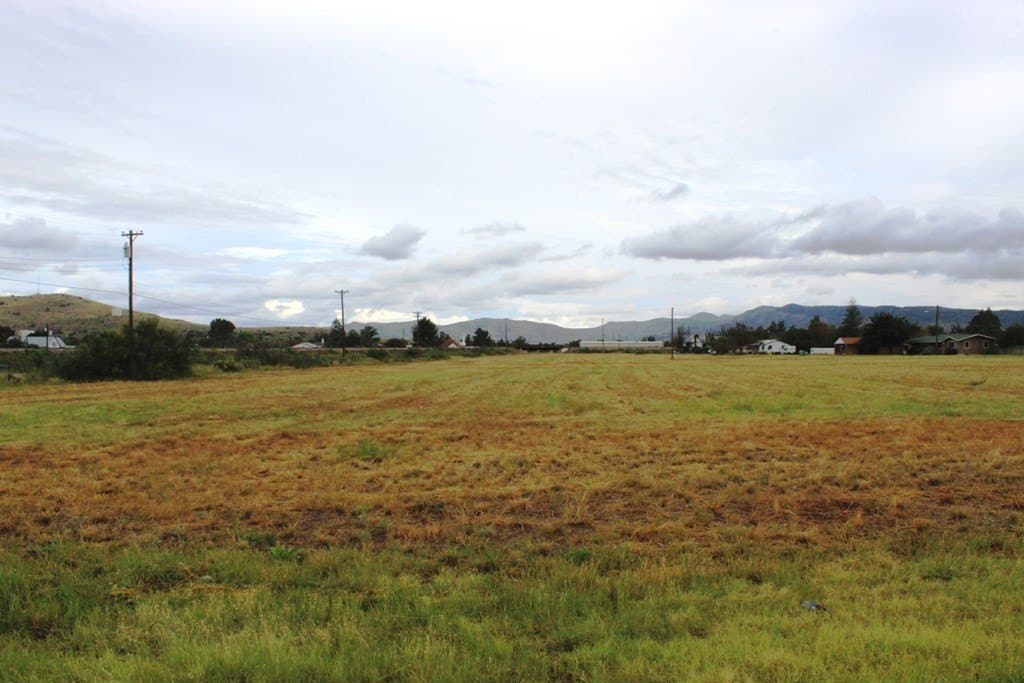 0 acres in Brewster County - photo 4